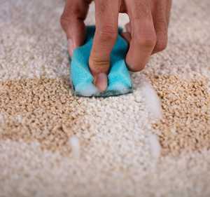 Carpet Cleaning Dorset By The Carpet Doctor Carpet Cleaning Dorset By The Carpet Doctor